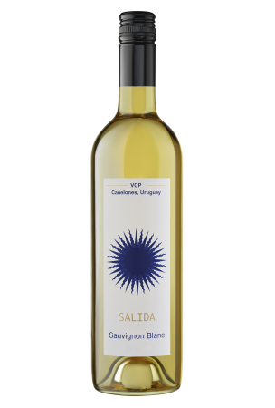 Вино Салида Совиньон Блан, белое сухое