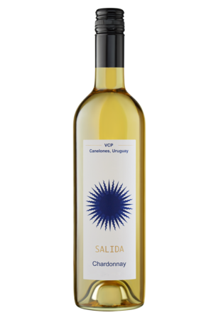 Вино Салида Шардоне, белое сухое
