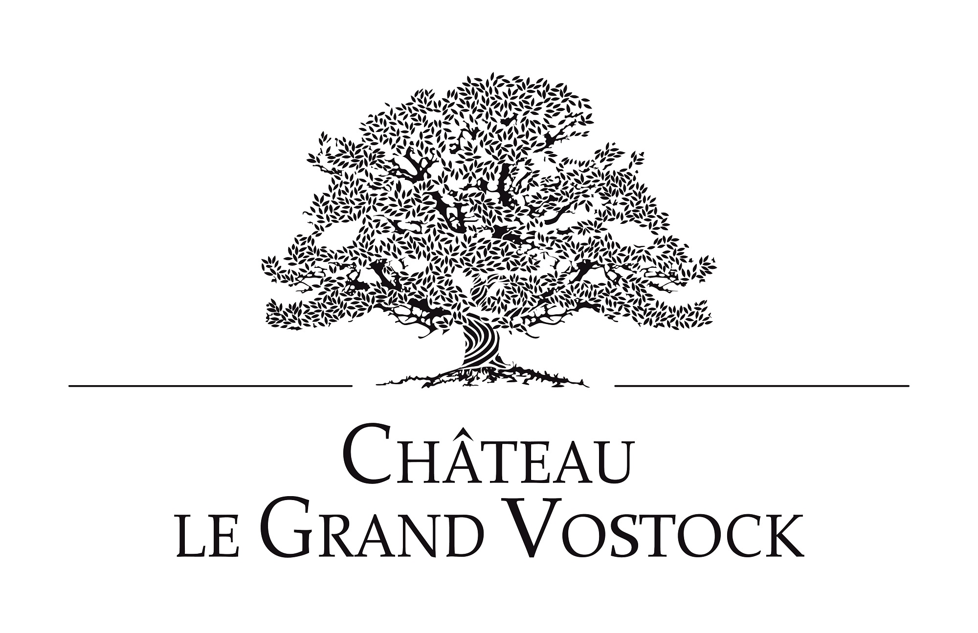 CHATEAU LE GRAND VOSTOCK